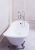 Чугунная ванна Goldman Bristol 170*76*50*55, на "орлиных когтях", в комплекте с сифоном и ножками в Армавире